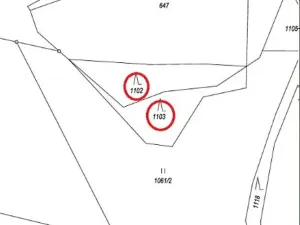 Prodej lesa, Zubří, 843 m2