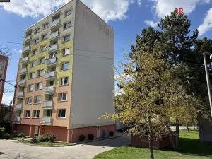 Prodej bytu 1+1, Sázava, Sídliště 9. května, 42 m2