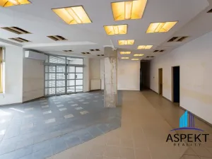 Pronájem obchodního prostoru, Praha - Kobylisy, U třešňovky, 224 m2