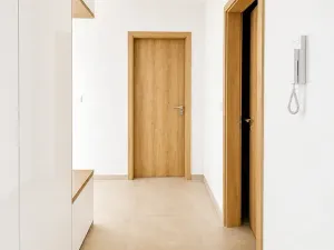 Pronájem bytu 2+kk, Plzeň, U Borského parku, 51 m2