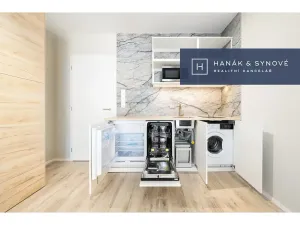 Pronájem bytu 1+kk, Brno, Chaloupkova, 22 m2