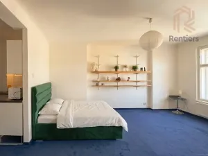 Pronájem bytu 1+kk, Praha - Vinohrady, Přemyslovská, 41 m2
