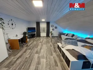 Prodej rodinného domu, Město Albrechtice, Osoblažská, 280 m2