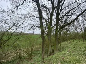 Prodej pozemku, Štětí - Brocno, 1107 m2