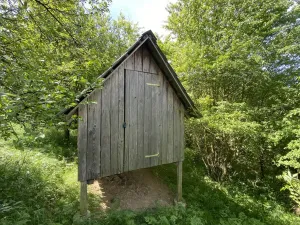 Prodej lesa, Šarovy, 11619 m2