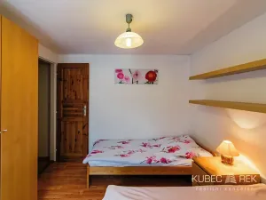 Prodej chalupy, Prušánky, Nechory, 80 m2