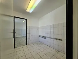 Pronájem restaurace, Brno, Kollárova, 60 m2