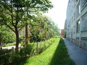 Prodej bytu 2+1, Praha - Žižkov, Na vrcholu, 54 m2