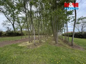 Prodej zahrady, Otvice, 4112 m2