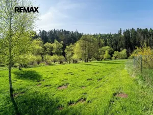 Prodej pozemku, Vlastějovice, 2100 m2