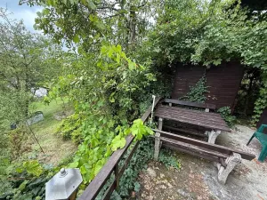 Prodej chaty, Nespeky, 50 m2