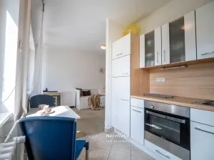 Prodej bytu 1+1, Brno - Veveří, Mášova, 30 m2