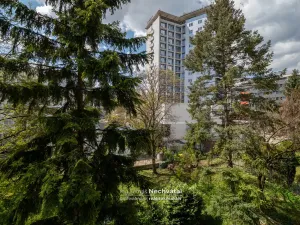 Prodej bytu 1+1, Brno - Veveří, Mášova, 30 m2