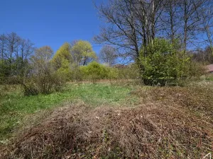 Prodej pozemku pro bydlení, Jeseník, 3985 m2