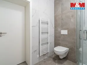 Pronájem bytu 1+kk, České Budějovice - České Budějovice 3, Rudolfovská tř., 23 m2