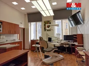 Pronájem komerční nemovitosti, Brno - Brno-město, Masarykova, 25 m2