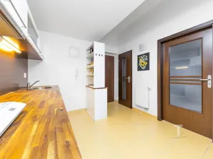 Prodej bytu 1+1, Brno, Spolková, 39 m2