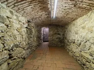 Prodej chaty, Hvožďany, 260 m2