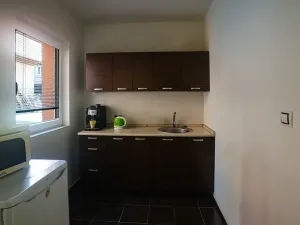 Prodej výrobních prostor, Teplice, Havířská, 226 m2