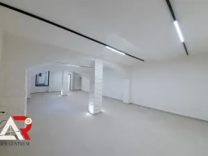 Prodej komerční nemovitosti, Brno, Jiráskova, 233 m2