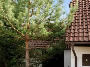Prodej ubytování, Podmokly, 98 m2