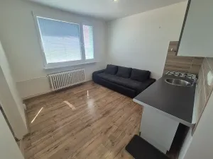 Pronájem bytu 1+1, Chomutov, Jiráskova, 35 m2