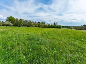 Prodej zemědělské usedlosti, Loket, 80 m2