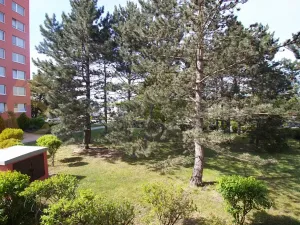 Prodej bytu 3+1, Praha - Kyje, Bajgarova, 65 m2
