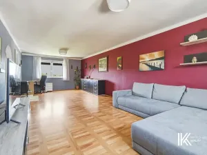 Prodej vícegeneračního domu, Pardubice, Ve Stezkách, 332 m2