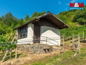 Prodej pozemku pro bydlení, Viničné Šumice, 2331 m2