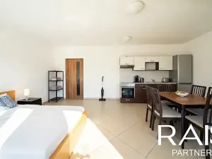 Prodej bytu 1+kk, Brno, Hálkova, 55 m2