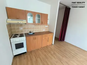 Pronájem bytu 1+kk, Děčín, Želenická, 25 m2