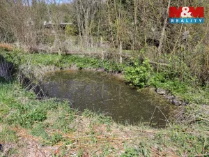 Prodej chalupy, Černíny - Bahno, 80 m2