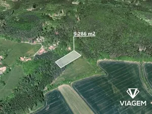 Prodej pole, Vlkančice, 9286 m2