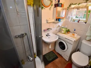 Prodej chalupy, Seč, 97 m2