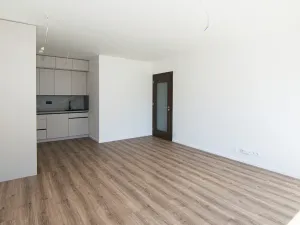 Pronájem bytu 2+kk, Praha - Košíře, Starokošířská, 58 m2