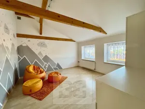 Pronájem bytu 3+kk, Velké Opatovice, Sokolská, 195 m2