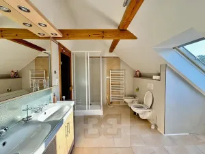 Pronájem bytu 3+kk, Velké Opatovice, Sokolská, 195 m2