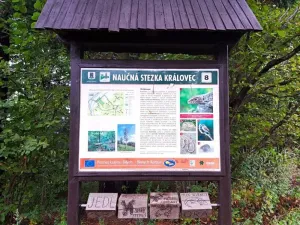 Pronájem komerční nemovitosti, Valašské Klobouky, 467 m2