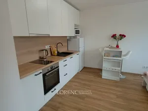 Pronájem bytu 1+kk, Hodonín, Žižkova, 23 m2