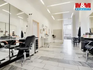 Prodej obchodního prostoru, Chomutov, Palackého, 159 m2