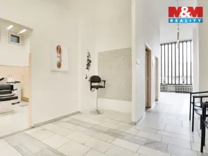 Prodej obchodního prostoru, Chomutov, Palackého, 159 m2