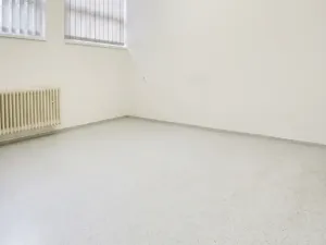 Prodej obchodního prostoru, Chomutov, Palackého, 159 m2