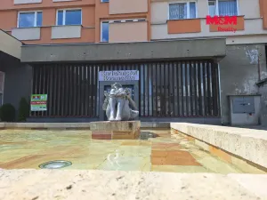 Prodej obchodního prostoru, Chomutov, Palackého, 159 m2