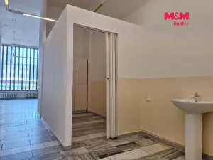 Prodej obchodního prostoru, Chomutov, Palackého, 159 m2