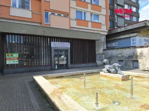 Prodej obchodního prostoru, Chomutov, Palackého, 159 m2