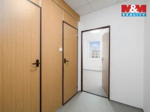 Pronájem bytu 1+1, Ústí nad Labem - Krásné Březno, Rozcestí, 41 m2