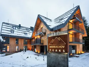 Prodej bytu 3+kk, Harrachov, 60 m2
