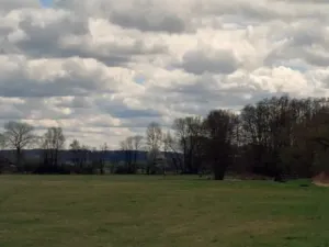 Prodej pozemku, Sloupno, 2906 m2