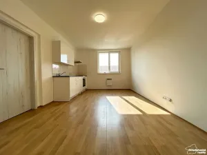 Prodej bytu 1+kk, Mšené-lázně, Mládežnická, 38 m2